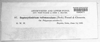Image Associated With the Occurence